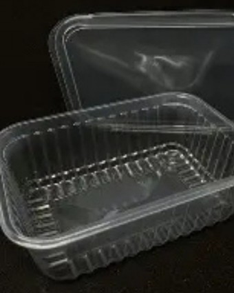 Pote retangular de 500ml c/24 unidades - descartável ( vai ao Freezer e Micro-ondas ) 