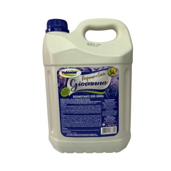 DESINFETANTE GIOVANNA BB 5L VALENCIA