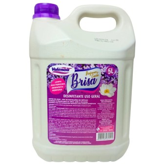 DESINFETANTE BRISA 5L VALENCIA