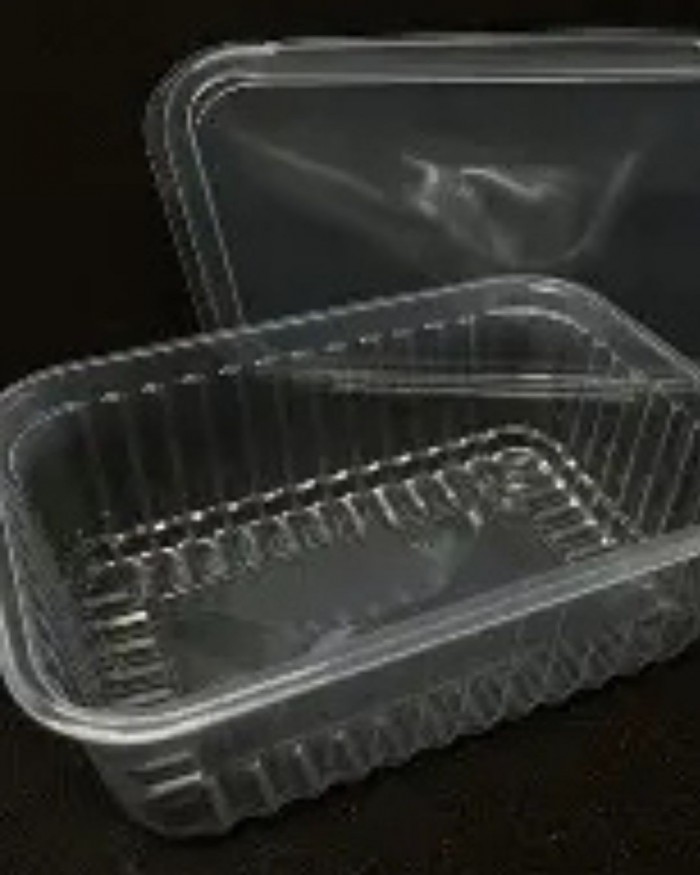 Pote retangular de 500ml c/24 unidades - descartável ( vai ao Freezer e Micro-ondas ) 